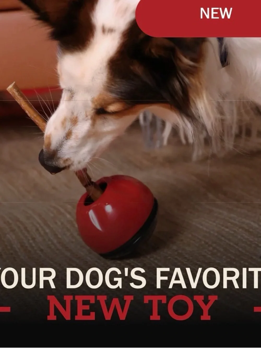 Grab-A-Bull® Chew Holder for Dogs